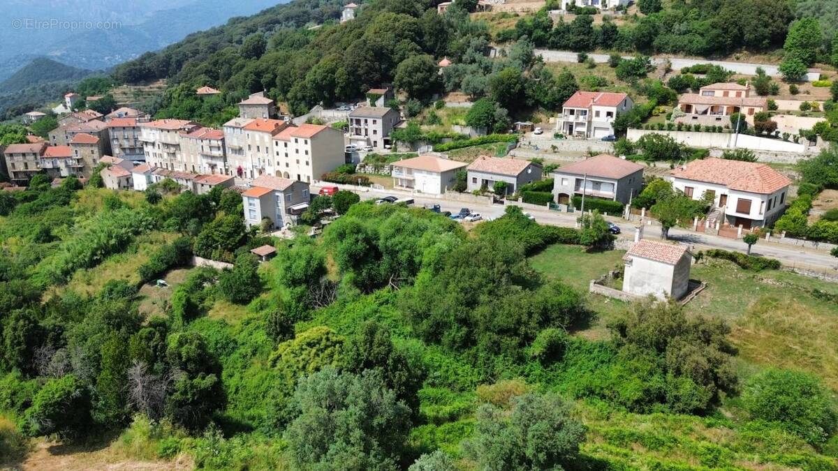 Terrain à SAINTE-LUCIE-DE-TALLANO