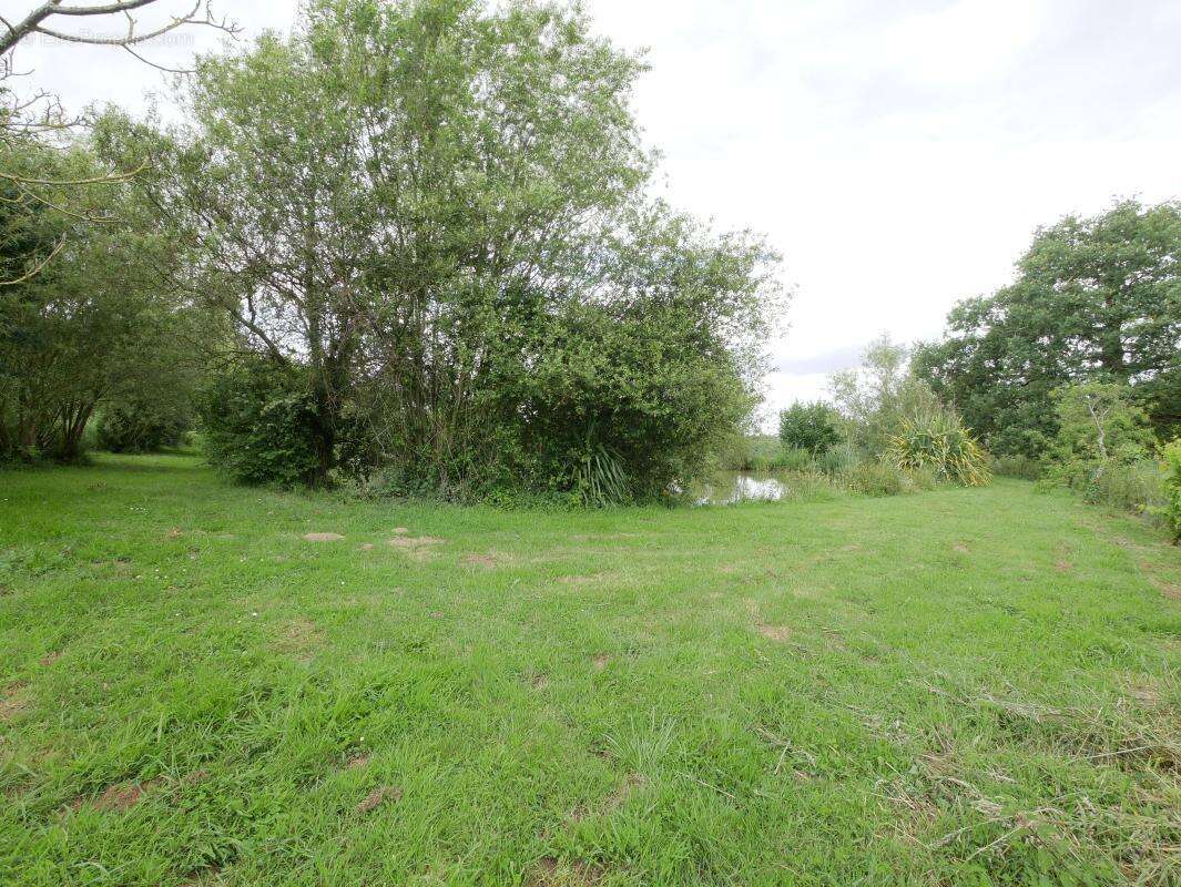 Terrain 5 062 m² à vendre à Saint-Aubin-D'aubigne (35250) - photo 11