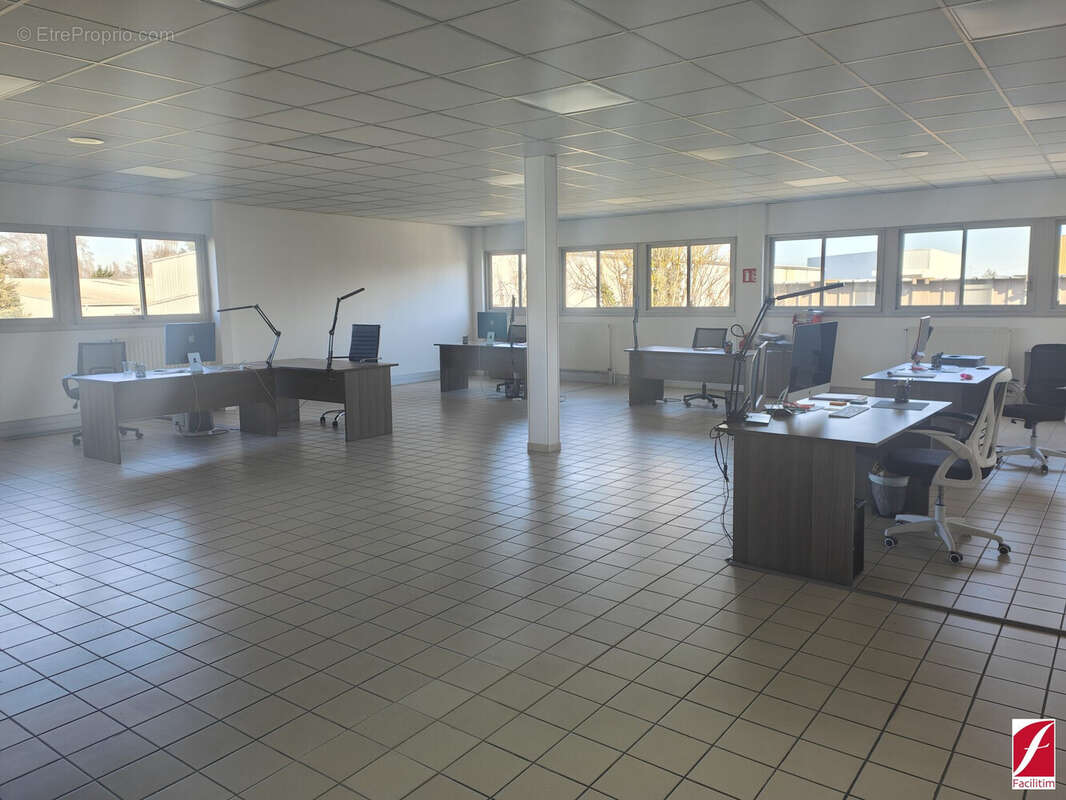 Commerce 4000 m² à Saint-Fargeau-Ponthierry  - photo 7