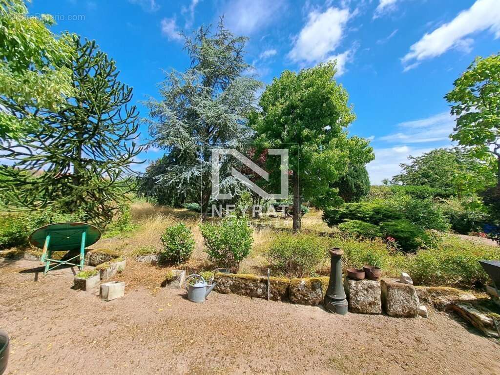 Maison à SAINT-FORGEOT