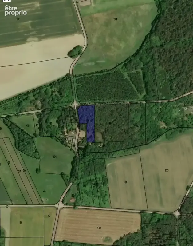 A VENDRE - Terrain boisé 4190m2 - LANGON - photo 4