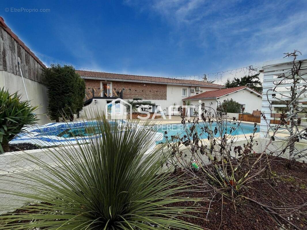 Photo 1 - Maison à GAILLAC