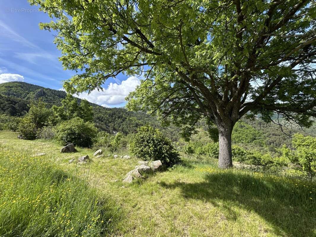 Maison à DIGNE-LES-BAINS