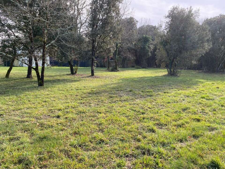 Terrain à SAINT-VAIZE