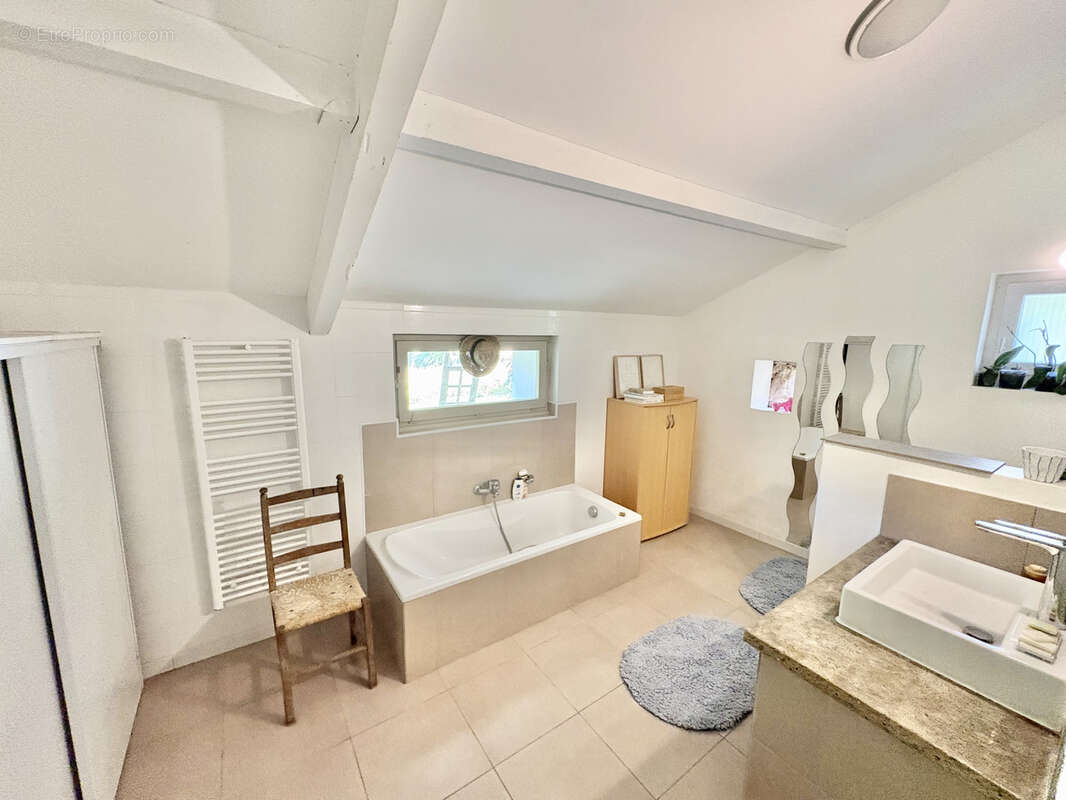 Maison de charme avec parc de plus de 1,4 hect + appartement T3 indépendant - photo 18