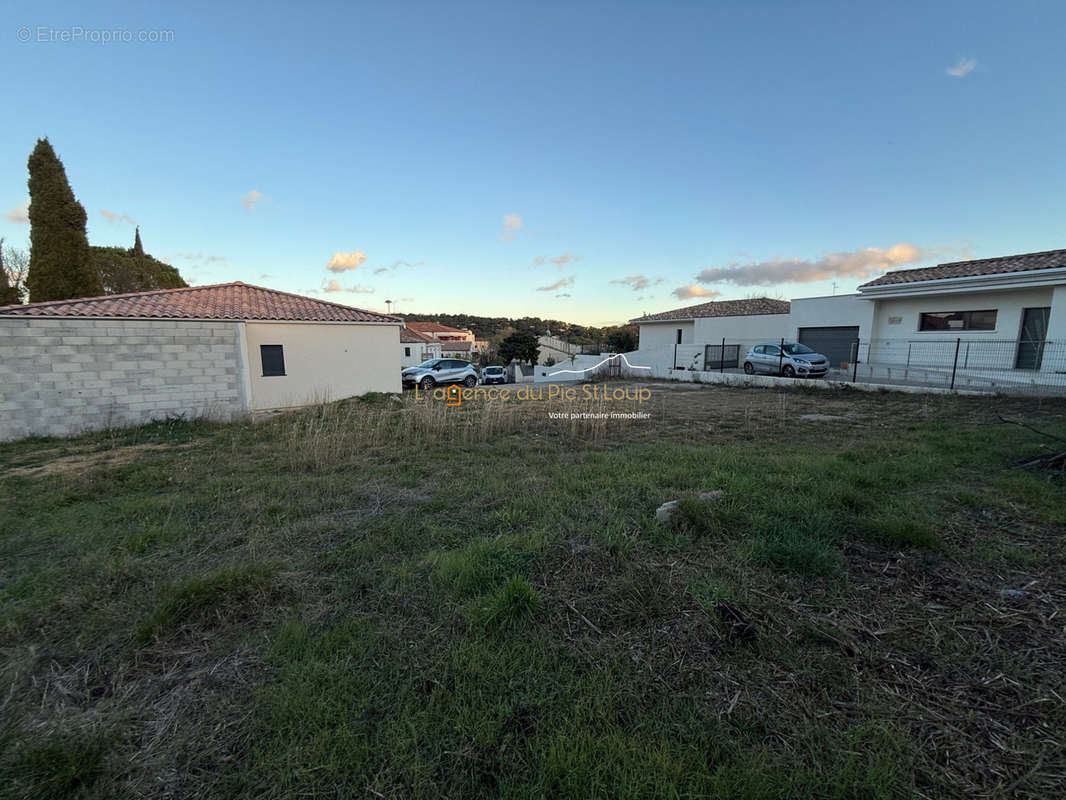 Terrain à SAINT-GELY-DU-FESC