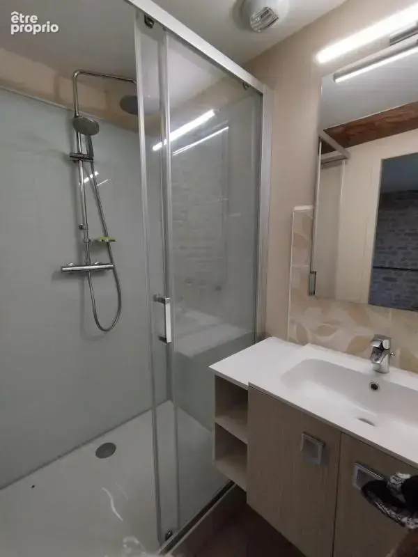 CHARENTE/AIGRE. Maison en pierre rénovée, 3 chambres(poss 4) avec jardin clos 1169 m² (gite ou chambres d'hôtes) - photo 21