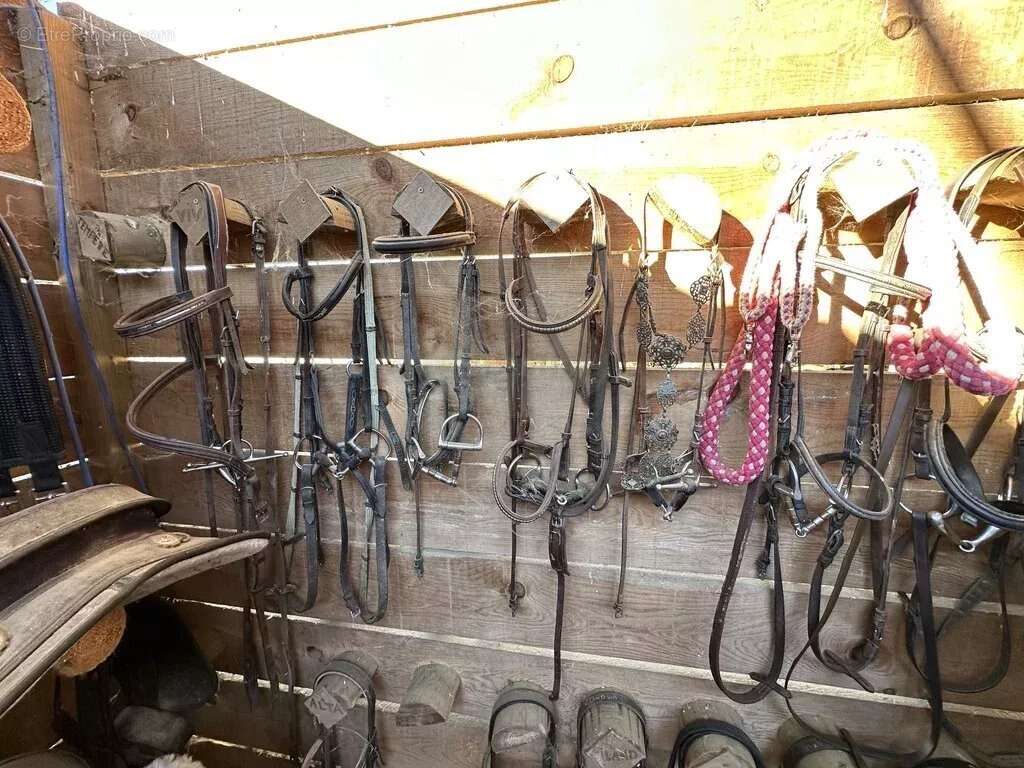 Maison à VILLECOMTAL-SUR-ARROS