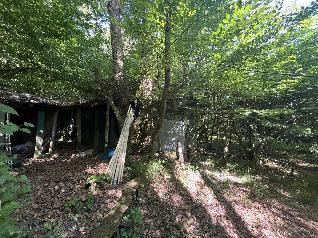 Maison à LA REOLE