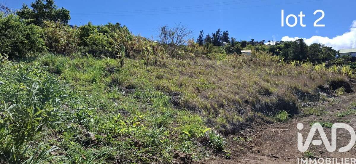 Photo 3 - Terrain à SAINT-DENIS