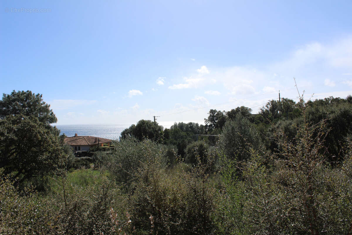 Maison à PORTO-VECCHIO