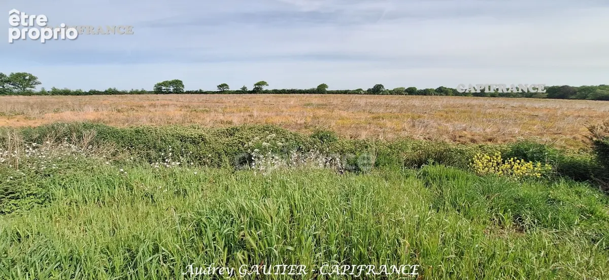 Maison à vendre 4 pièces LA PLAINE SUR MER (44) - photo 7