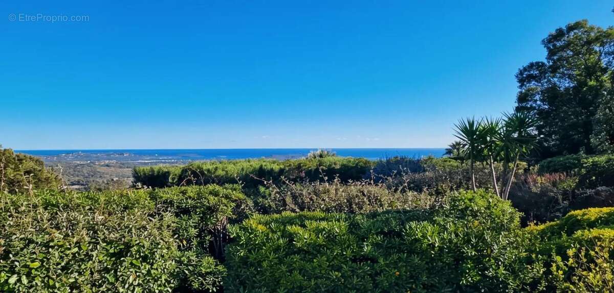 Maison à PORTO-VECCHIO