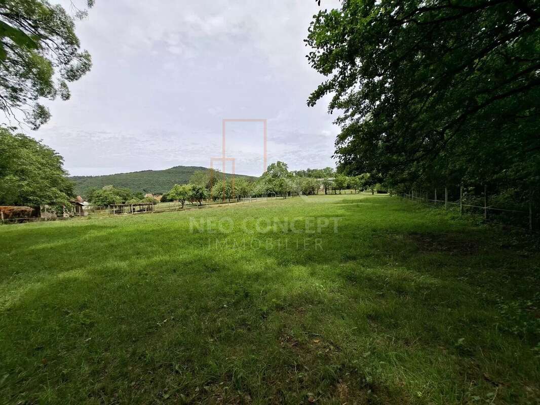 OBERBRONN SUD – Maison individuelle d’environ 140 m² dans un cadre exceptionnel sur plus de 87 ares - photo 25