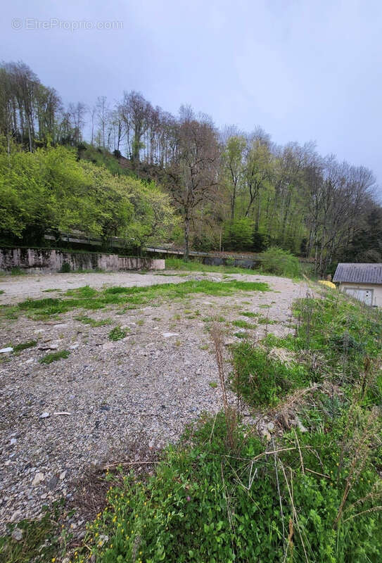 Terrain à VIUZ-EN-SALLAZ