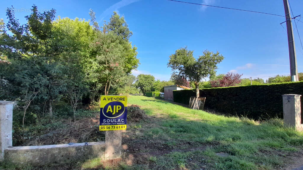 Saint vivien - terrain mixte    8100 m2 - photo 6