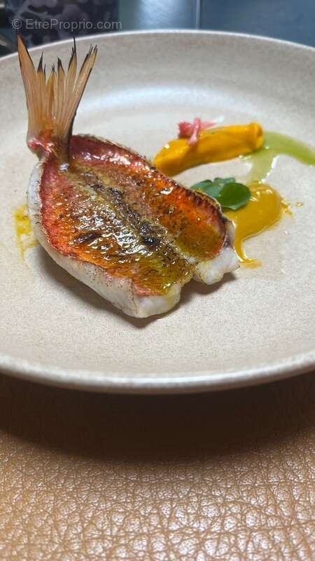 Commerce à SAINTE-MAXIME