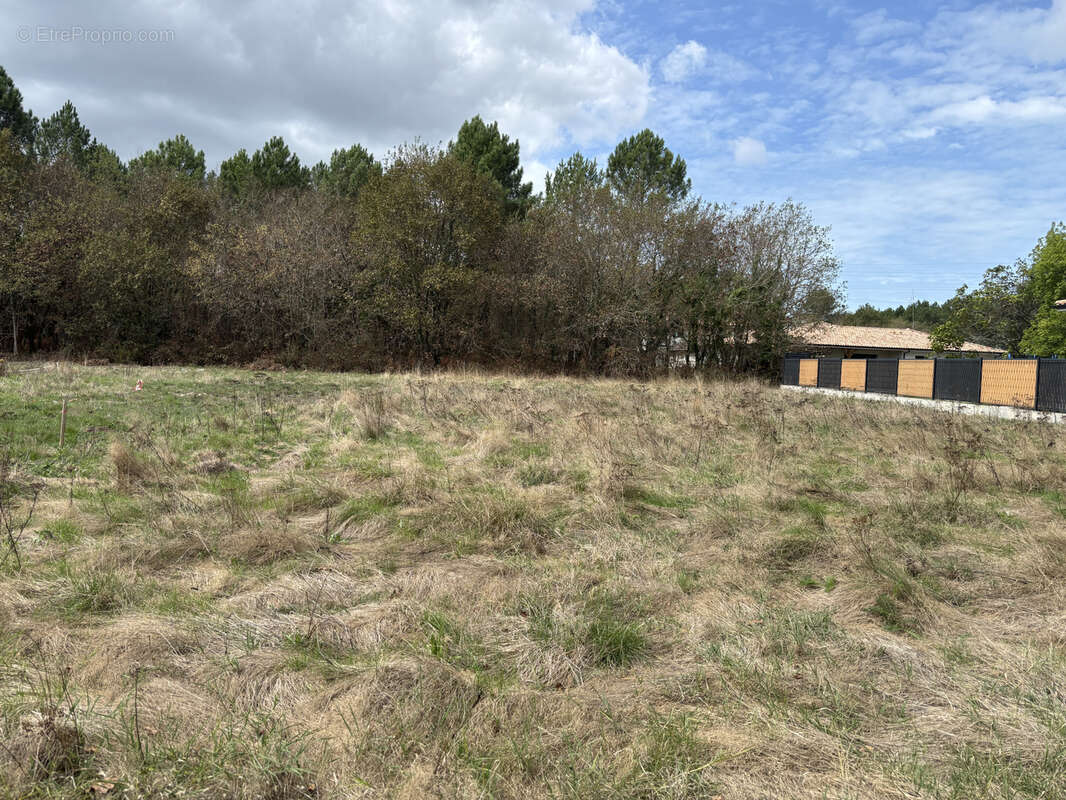 Terrain à LE TEICH
