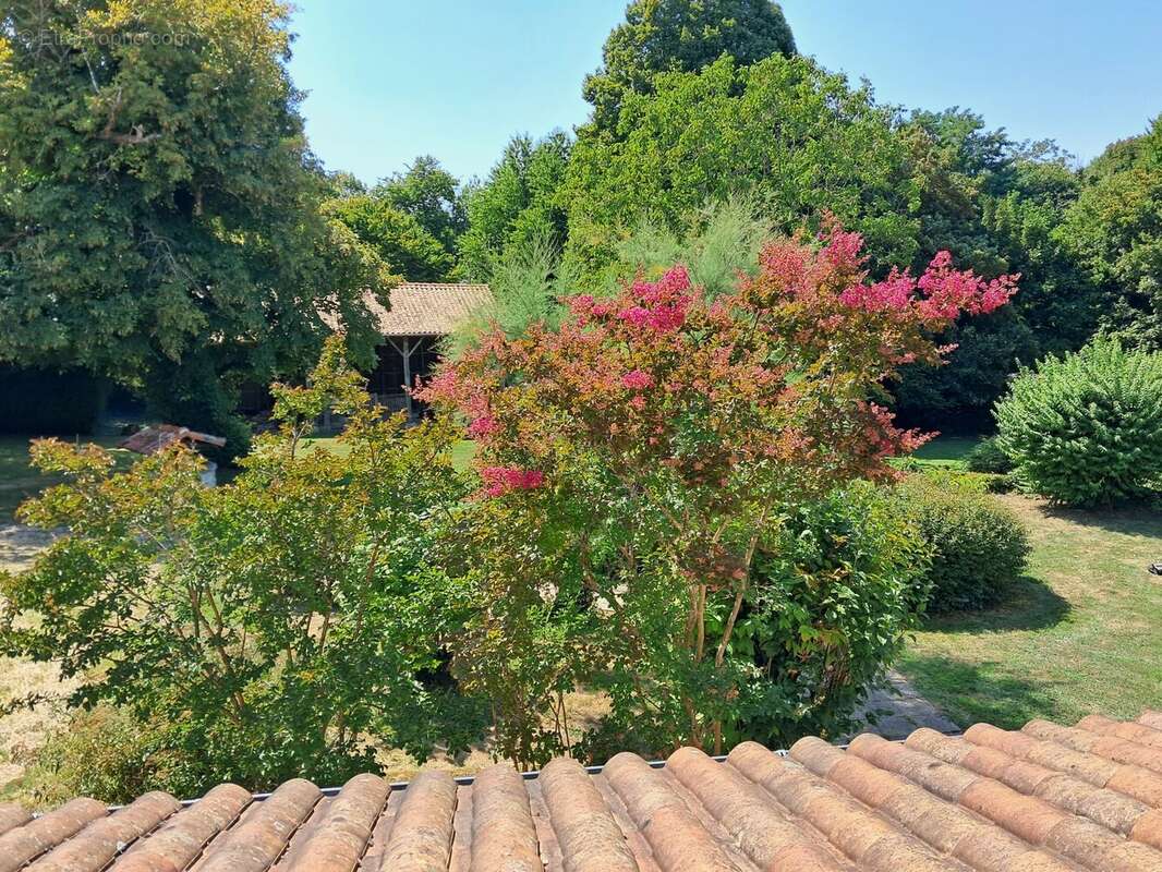 Maison à CLUSSAIS-LA-POMMERAIE