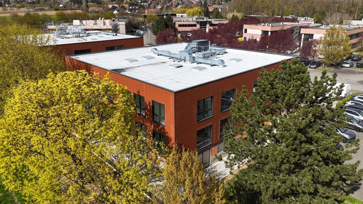 Commerce à OBERHAUSBERGEN