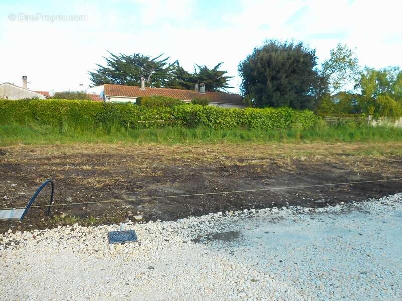 Dpt Charente Maritime (17), Ile d'OLERON, à vendre LA BREE LES BAINS terrain 336 m² - photo 2