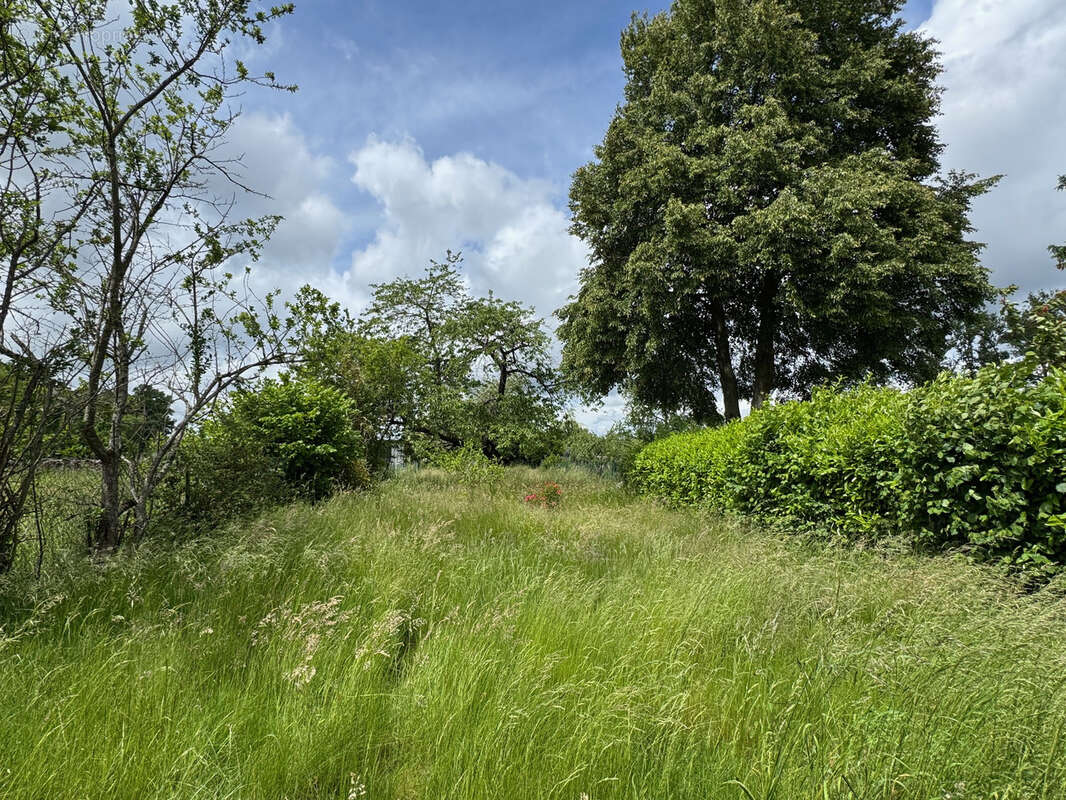 Maison à VER-SUR-LAUNETTE