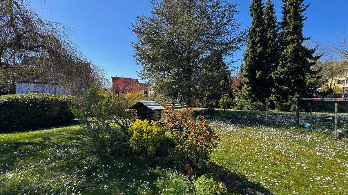 Maison à ACHENHEIM