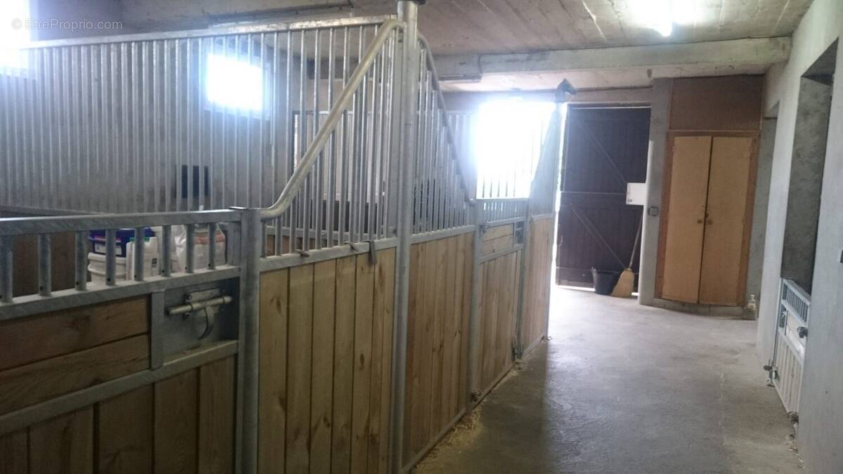 ÉCURIES - Maison à LABATUT
