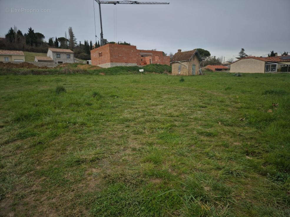 Terrain à RABASTENS