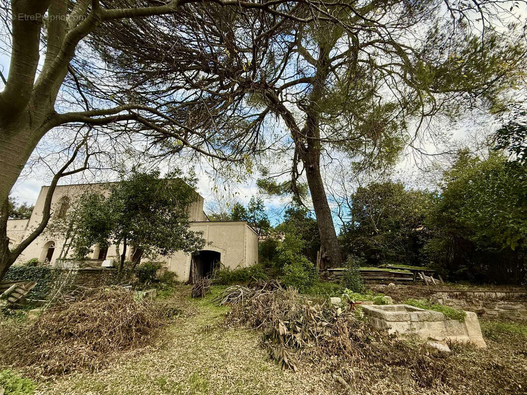 Maison à MONTPELLIER