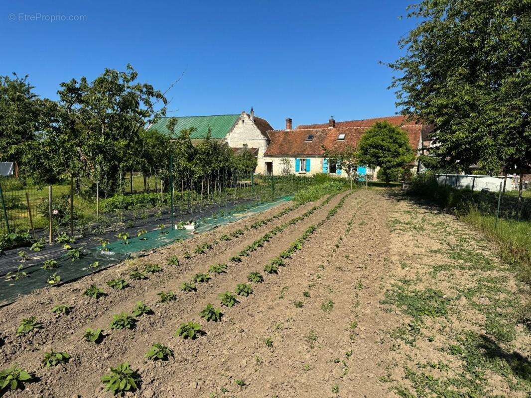 Maison à LA NEUVILLE-ROY