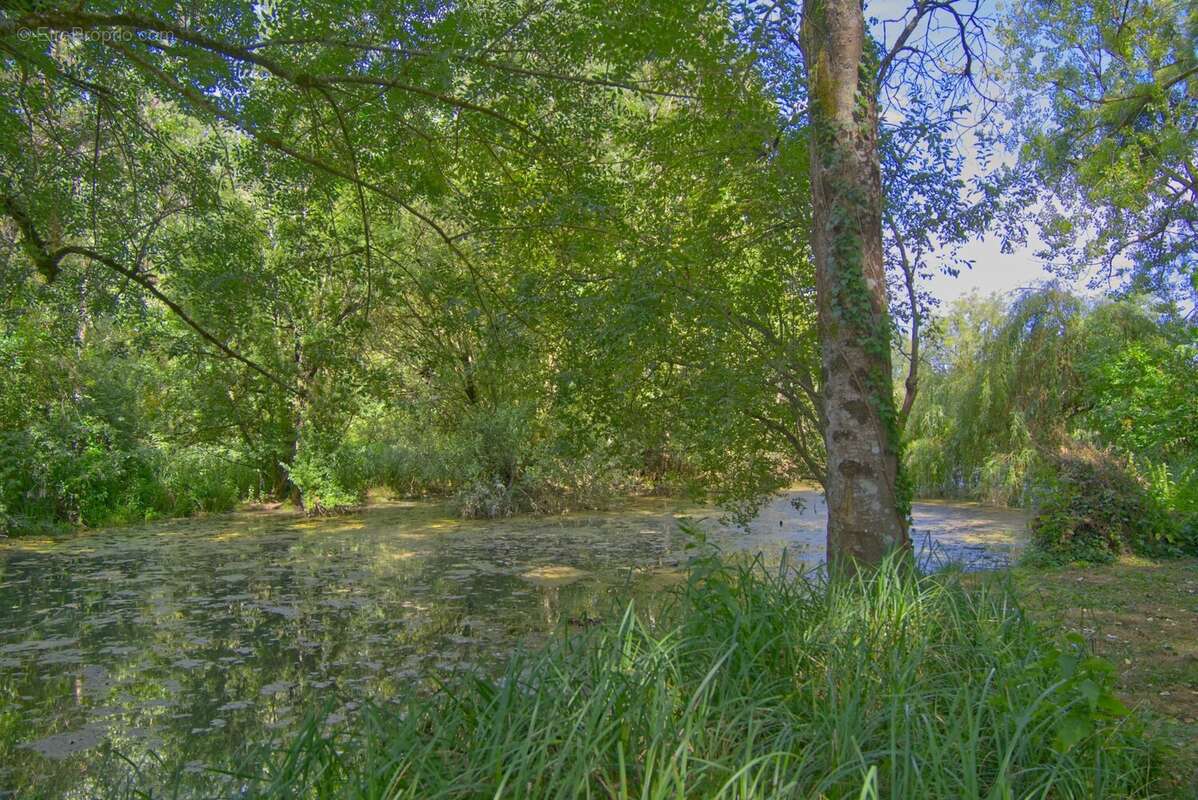 Maison de village à finir de rénover avec accès privatif à la rivière, au cœur d'un charmant village avec bar - photo 16