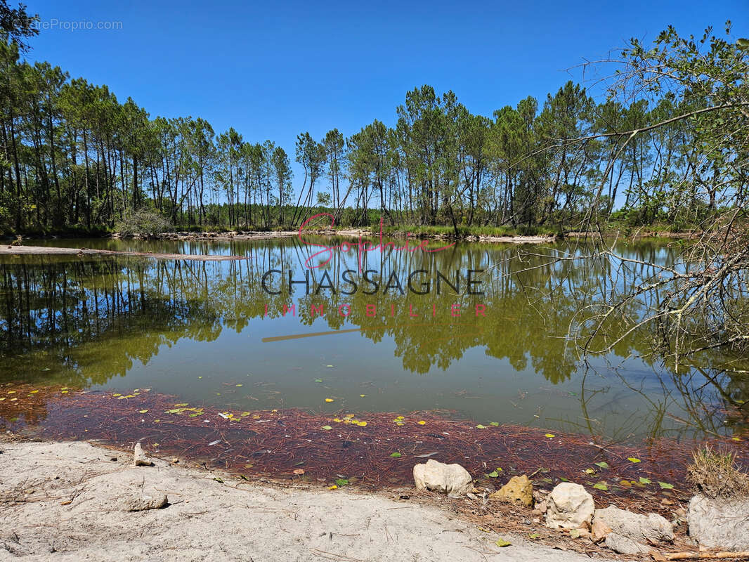 À 30 minutes de Bordeaux et 45 minutes d’Arcachon, domaine avec 2 étangs sur 15 hectares - photo 11