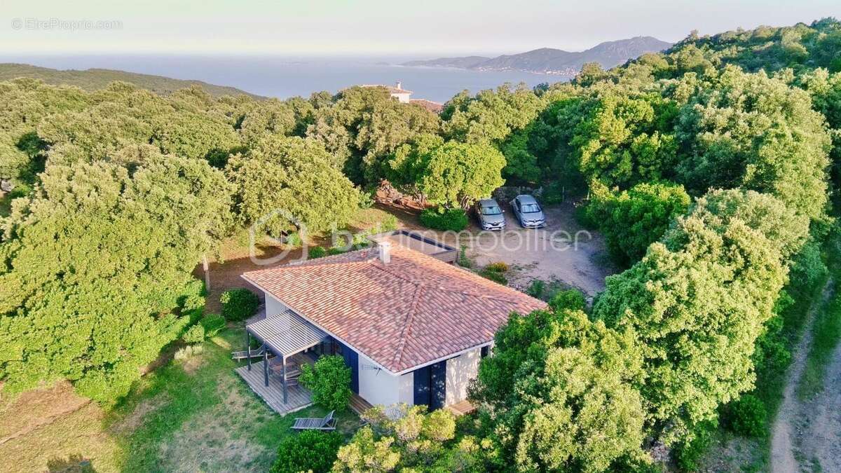 Maison à ALBITRECCIA