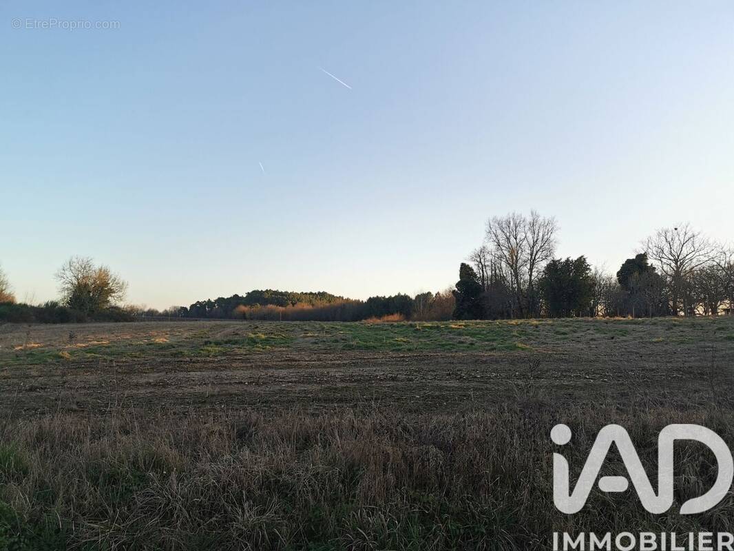 Photo 1 - Terrain à MONTGUYON