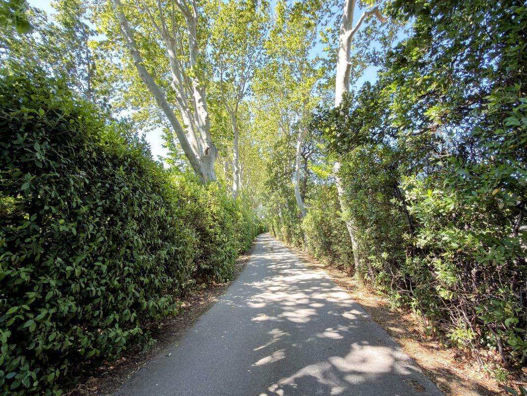 Maison 463 m² à Canohes  - photo 2