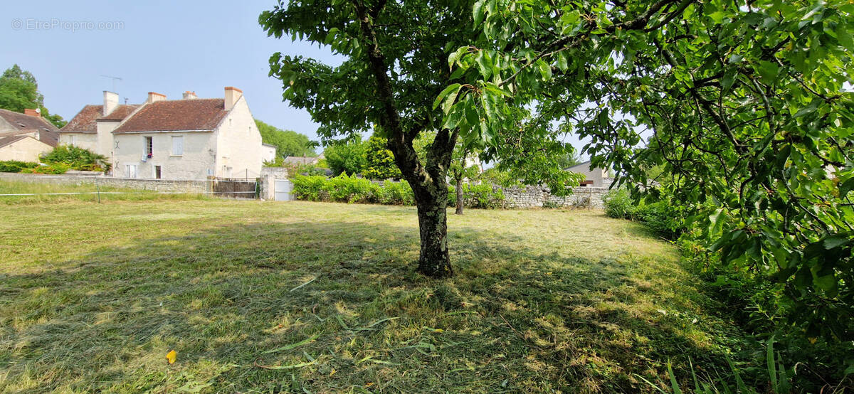 Terrain à CHAMPIGNY-SUR-VEUDE