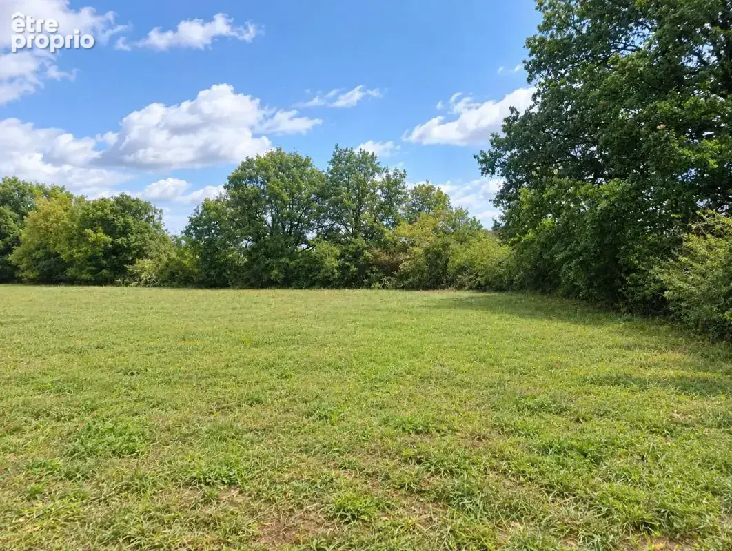 Très beau terrain constructible de 2000 m2 à Thenon - photo 2
