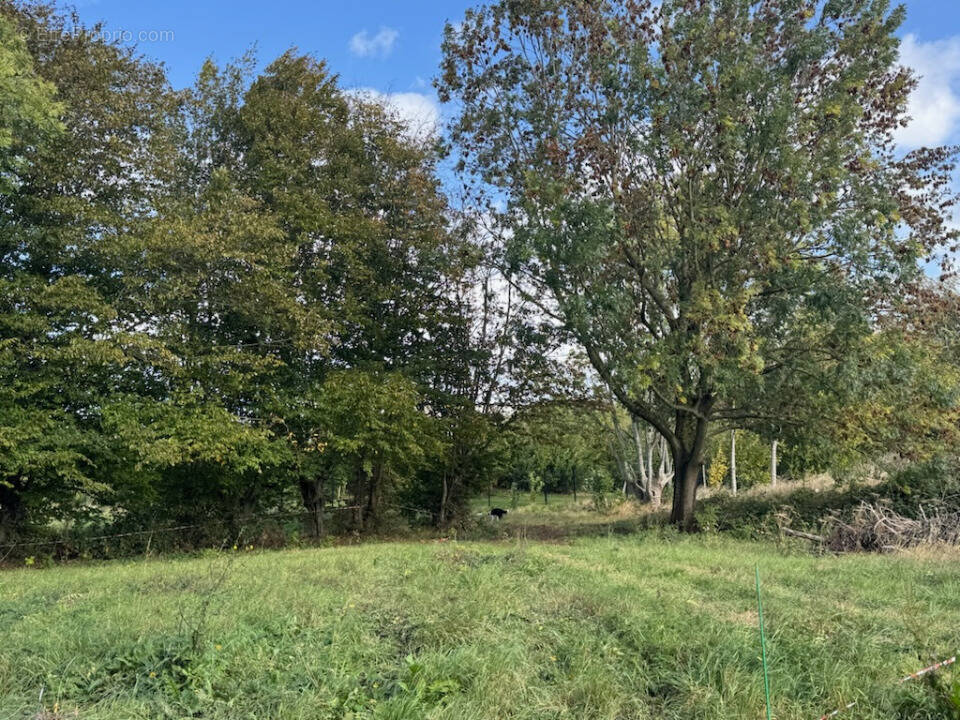 Terrain à ENNEVELIN