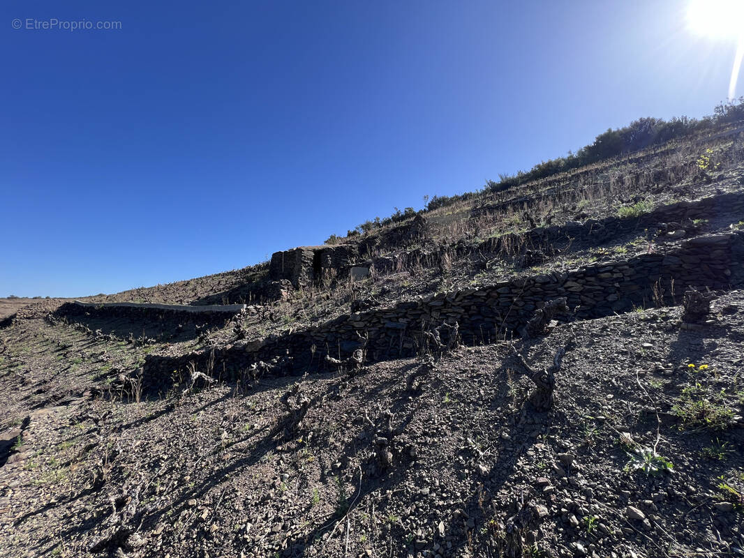 Terrain à BANYULS-SUR-MER