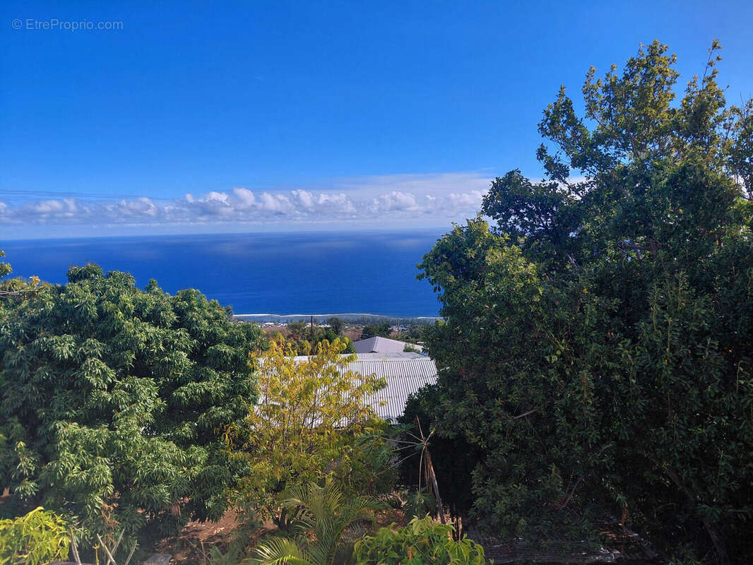 Photo 2 - Maison à SAINT-LEU