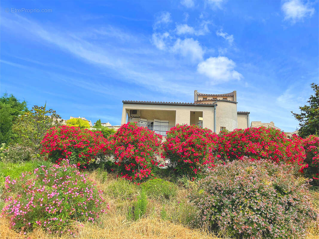 Maison à SAINT-PAUL-TROIS-CHATEAUX