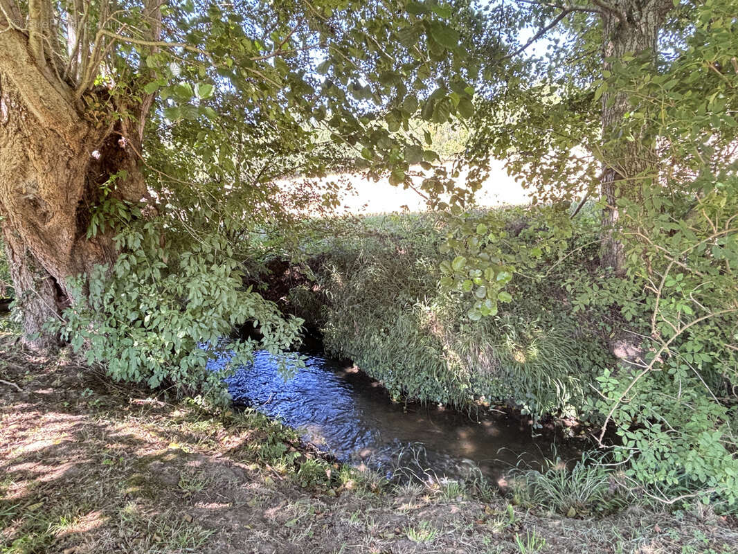 Attachée à son ecrin de verdure, cette magnifique propriété laisse réveur pour les amoureux de la nature... - photo 5