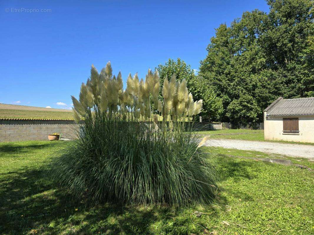 Maison à MONTMOREAU-SAINT-CYBARD