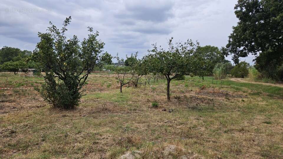 Terrain à FREJUS