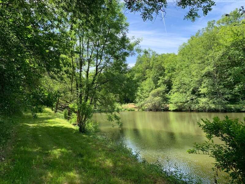 Terrain à PRESSIGNAC