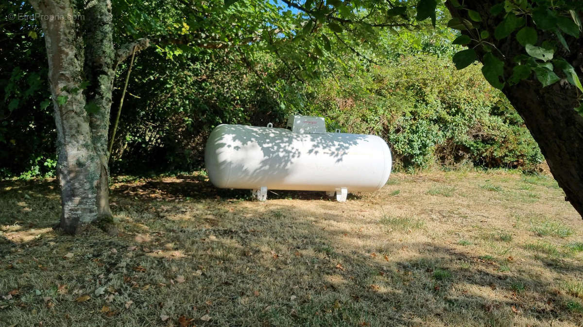 20240822_102528 - Maison à MAREUIL