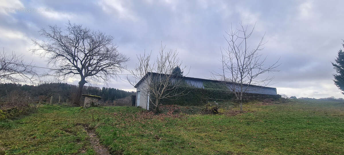 Terrain à MERCOEUR