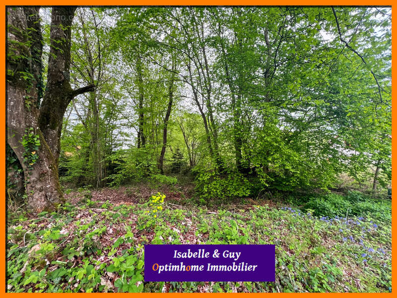 A 3 min de La Barre en Ouche - photo 24