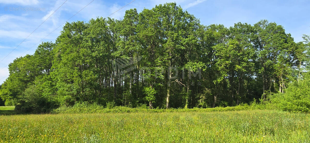 Terrain à LA CELLE-SUR-LOIRE